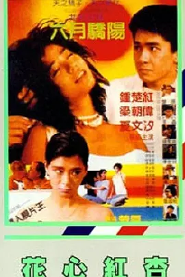 华丽的外出
