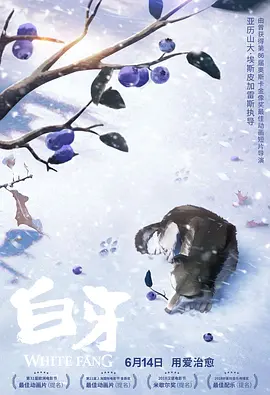 亚洲精品视频免费在线观看