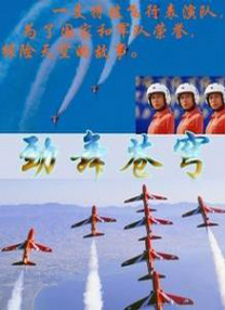 成人福利视频导航
