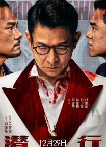 美女视频在线免费看