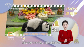 兴奋的婶婶