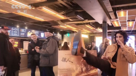 亚洲精品人成在线观看